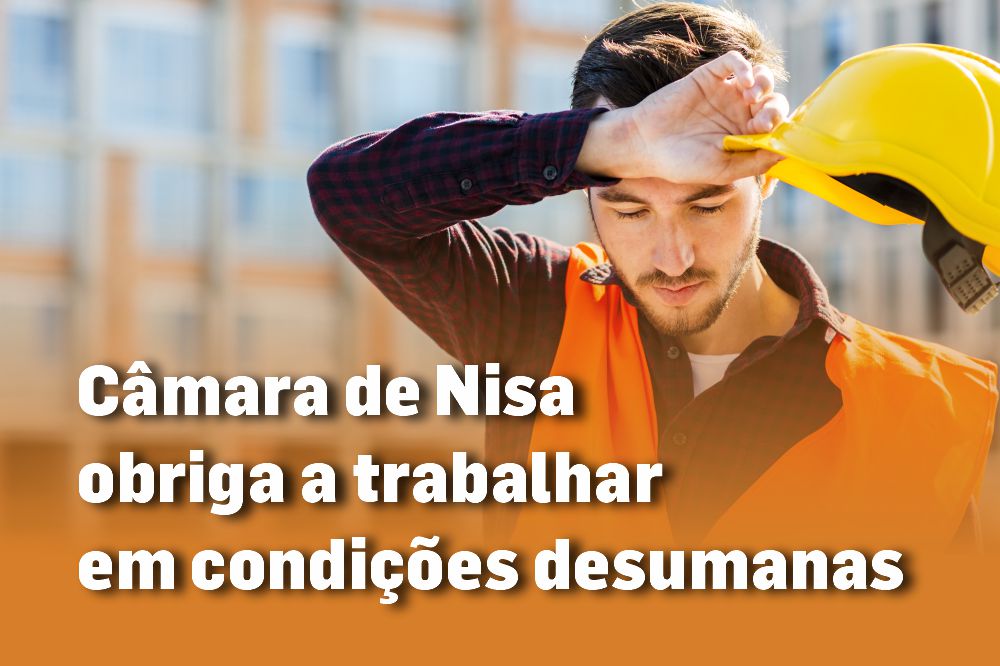 Nisa CalorIntenso 8ccab